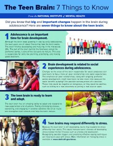 The Teen Brain - 7 Things to Know